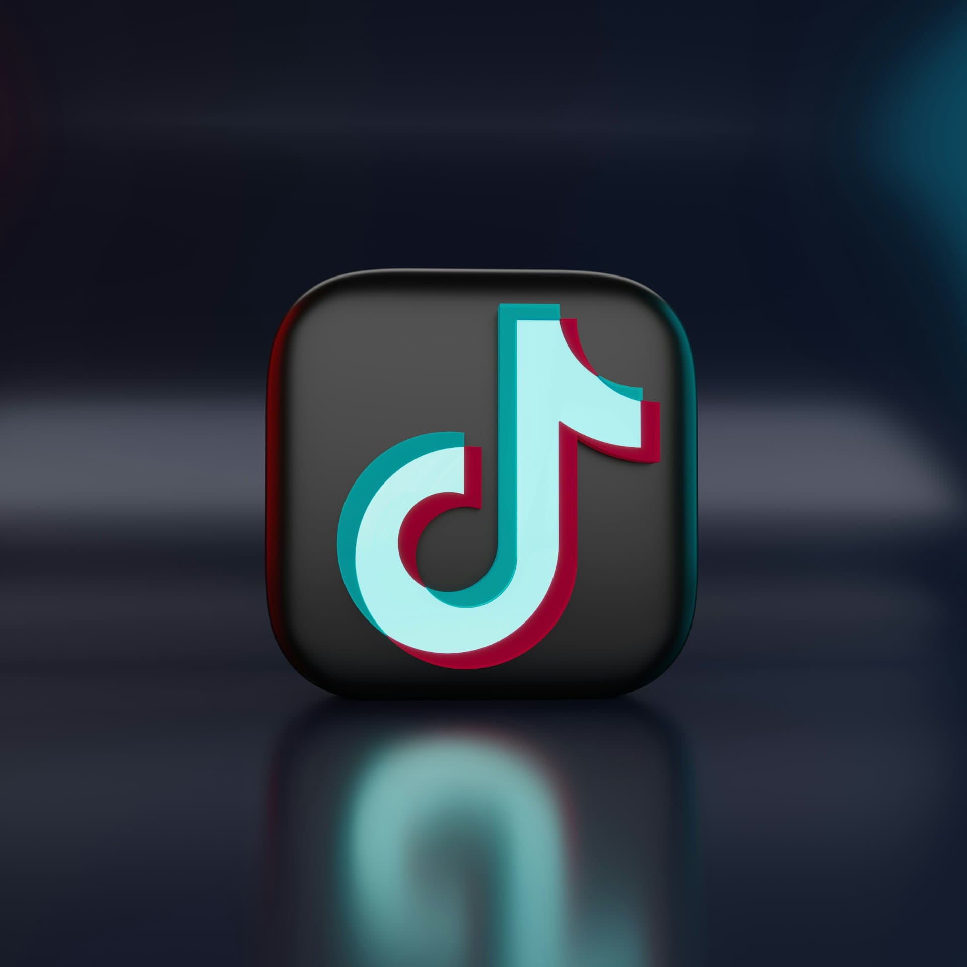 TikTok Ads Case Studies